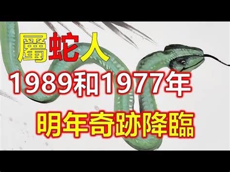 1989年生肖五行|1989年属蛇是什么命，89年出生五行属什么